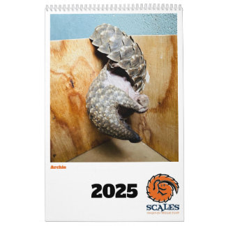 Pangolin Rädding Fund Calendar 2025 Kalender