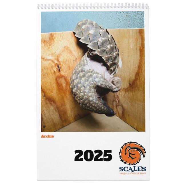 Pangolin Rädding Fund Calendar 2025 Kalender (Omslag)