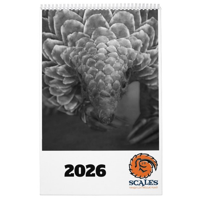 Pangolin Rädding Fund Calendar 2026 Kalender (Omslag)
