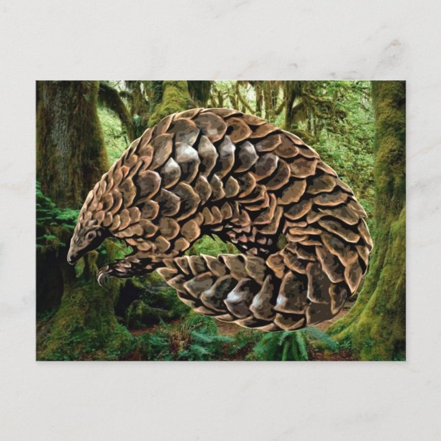 Pangolin-vykort Vykort (Framsida)