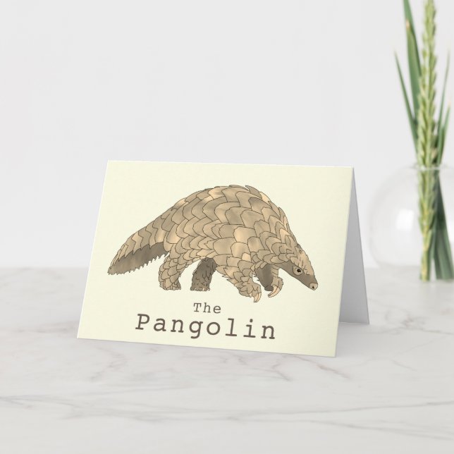 Pangolin Wildlife-utrotningshotade arter Djurart Kort (Framsida)