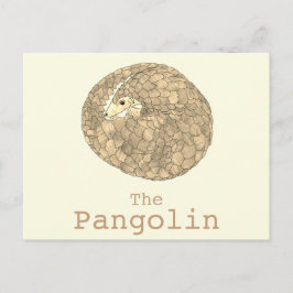 Pangolin Wildlife-utrotningshotade arter Djurart Vykort