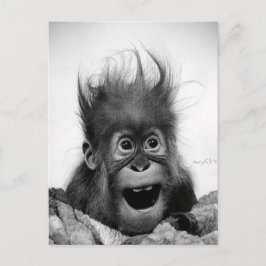 PANIC! Vykort