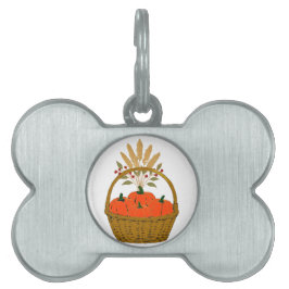 🐾 Panier Citrouilles d'Automne ID-bricka Husdjur