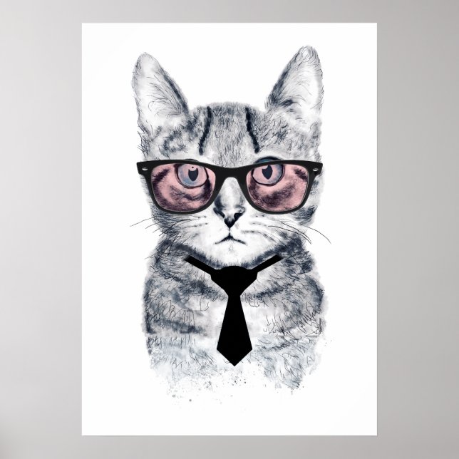 Panka's Smart Cat Poster (Framsidan)