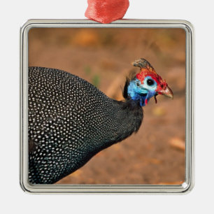 Pannkaks pärlhöna (Numida meleagris). Afrika, Julgransprydnad Metall