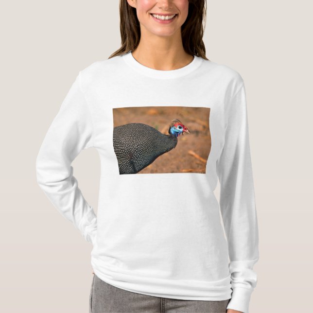 Pannkaks pärlhöna (Numida meleagris). Afrika, T-shirt (Framsida)