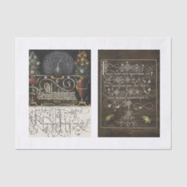 Pannor, blommigt, trädgårdsträdgård