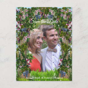 Pannor, honungssuckles & Hummingbird Meddelande Vykort