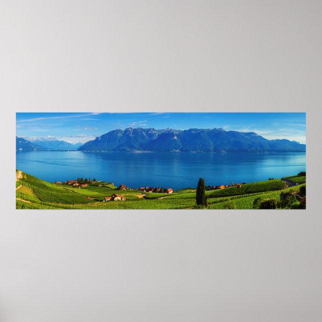 Panorama i Lavaux-regionen, Vaud, Schweiz Poster (Framsidan)