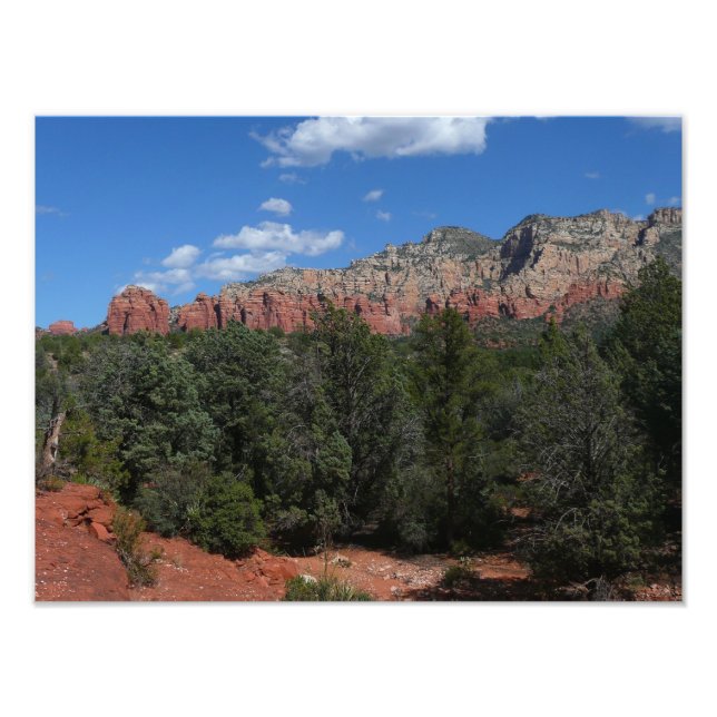 Panorama över röda klippor i Sedona Arizona Fototryck (Framsidan)