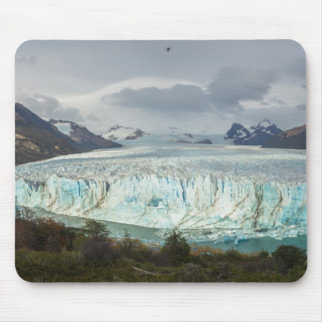 Panorama- Perito Moreno glaciär Musmatta (Framsidan)