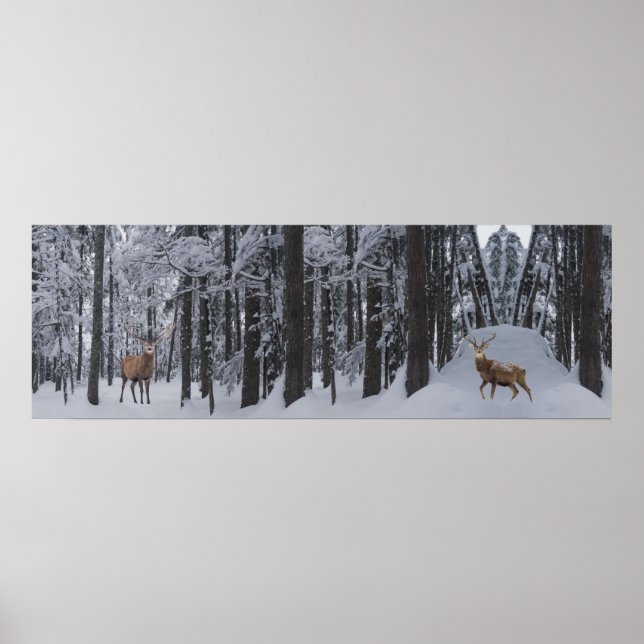 Panorama Poster (Framsidan)