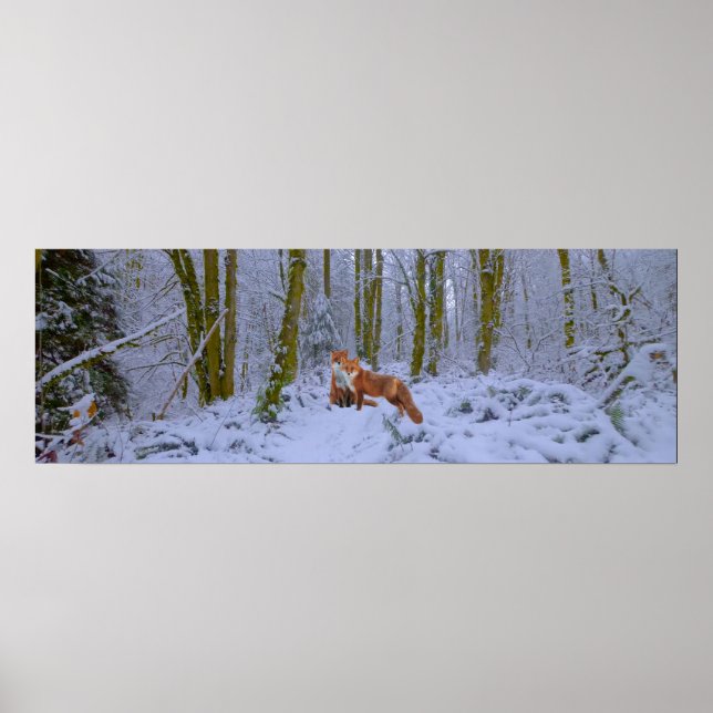 Panorama Poster (Framsidan)