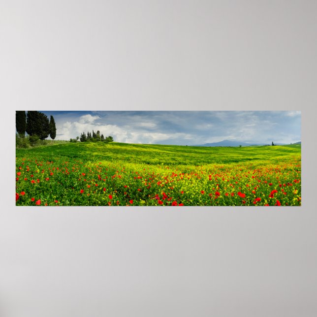 Panorama Poster i Tuscanlandskapet (Framsidan)