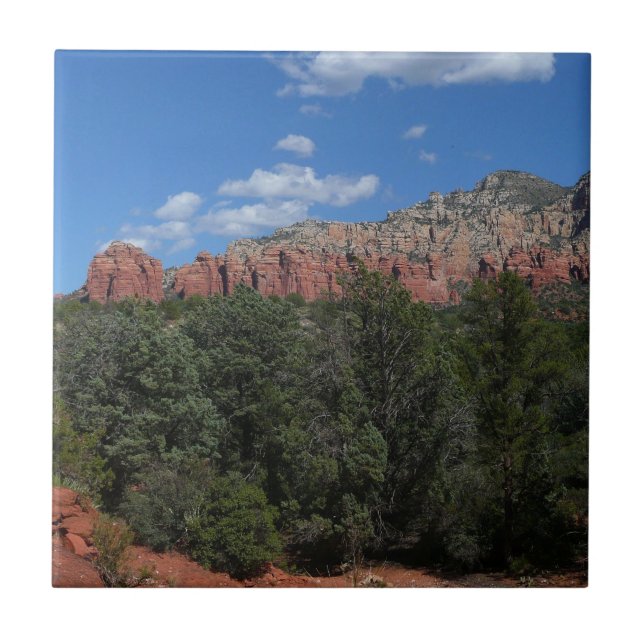 Panorama Red Sten i Sedona Arizona Kakelplatta (Framsidan)