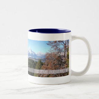 Panorama- Tetons mugg