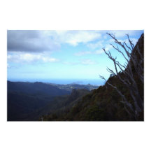 Panoramas syn på skogsparken i Coromandel