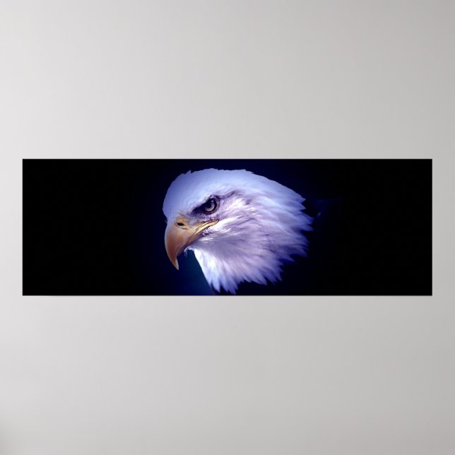 Panoramisk amerikansk Örn Poster Skriv ut (Framsidan)