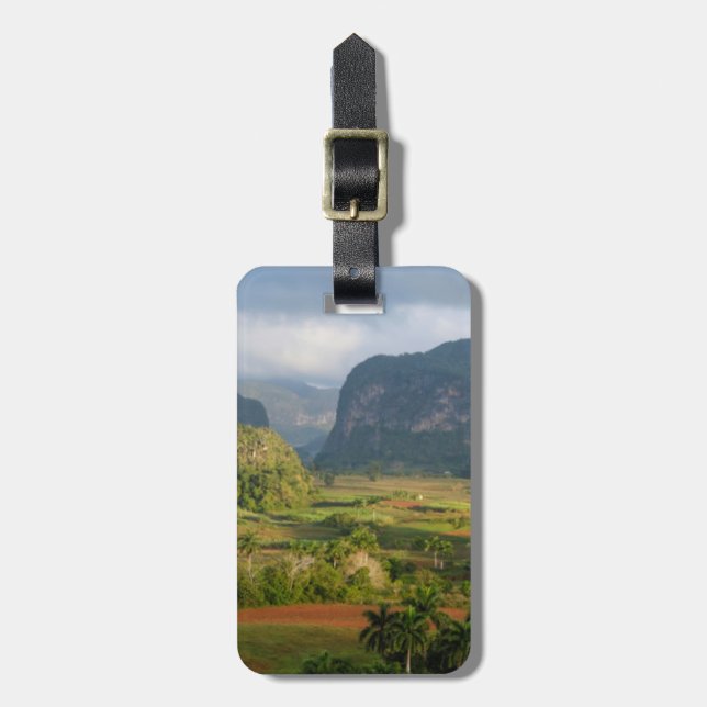 Panoramisk dalandskap, Kuba Bagagebricka (Vertikal Framsida)
