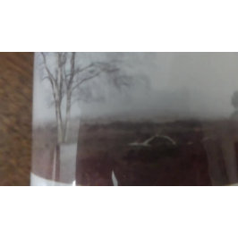 Panoramisk Heathland Träd i Fog Mugg