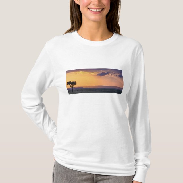 Panoramisk syn på enakacia träd vid tee shirt (Framsida)