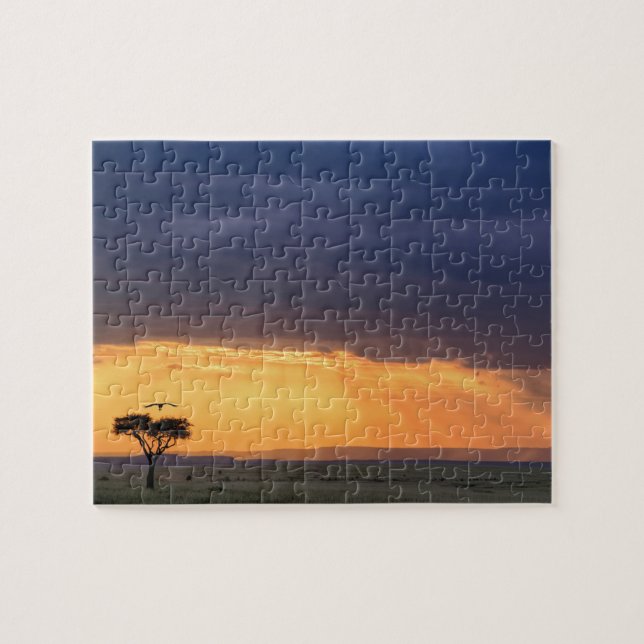 Panoramisk vy av gam och akacieträd pussel (Horisontell)