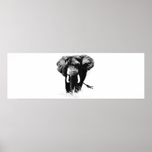 Panoramiska B&W Elephant Poster utskrifter