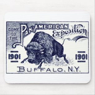 Panorera-Amerikan Expo 1901 Musmatta