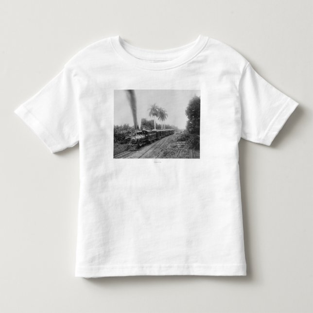 Panorera amerikancentraljärnväg i Guatemala Tee (Framsida)