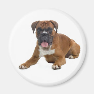 Panorera Hund, kanna Magnet