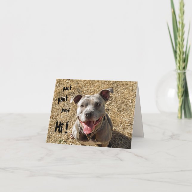 Panorera Pitbull Hi Notecard Kort (Framsida)