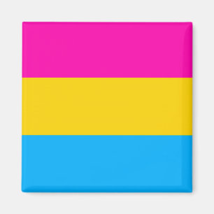Panorera prideflaggamagneten magnet