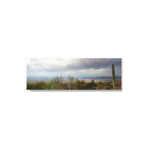 Panoromic of Arizona MonSnart Ligcape