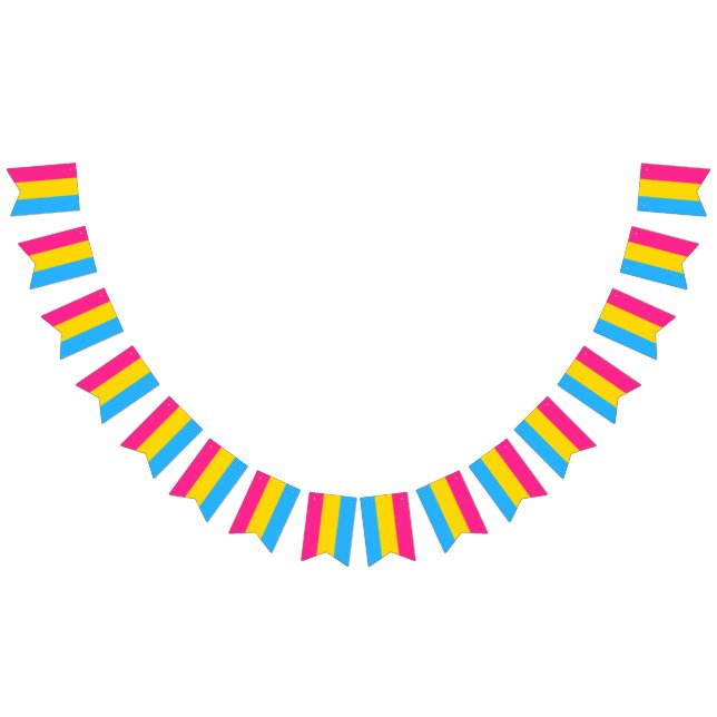 Pansexual Flagga Bunting Banner HGBT Party (Alla)