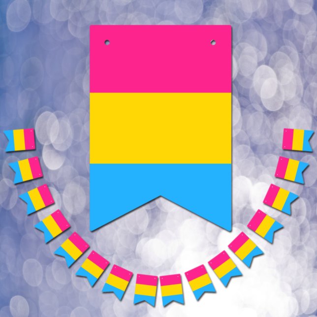 Pansexual Flagga & Pride community /gender flagga (Skapare uppladdad)