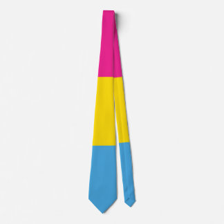 Pansexual flaggaslips slips