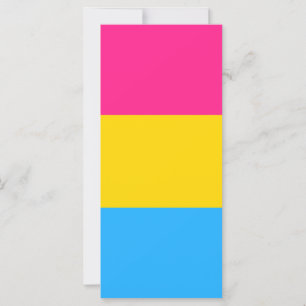 Pansexual Pride Flagga LGBTQ