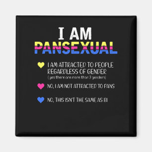 Pansexual Pride LGBT Equal-Höger Magnet