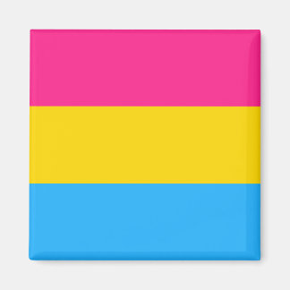 Pansexual Pride Magnet