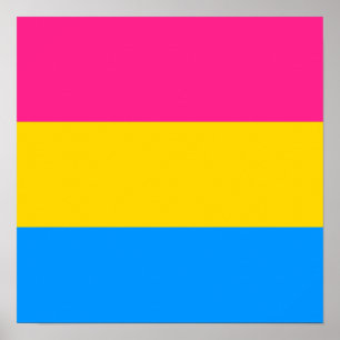 PANSEXUAL PRIDE RAND DESIGN POSTER