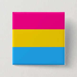 "PANSEXUAL PRIDEFLAGGA ", KNAPP
