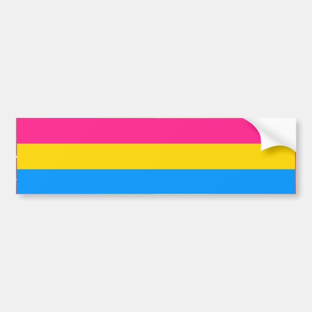 PANSEXUAL PRIDEFLAGGAPUB BILDEKAL (Framsidan)