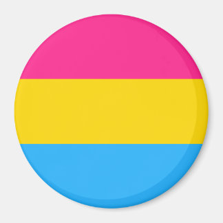 Pansexuell stolthetsflagga LGBTQ Magnet