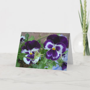 pansey notecard kort