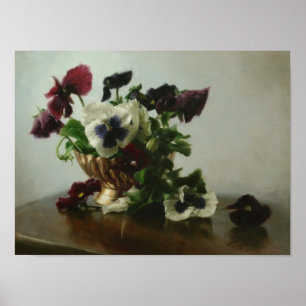 Pansier i Brass Bowl Poster