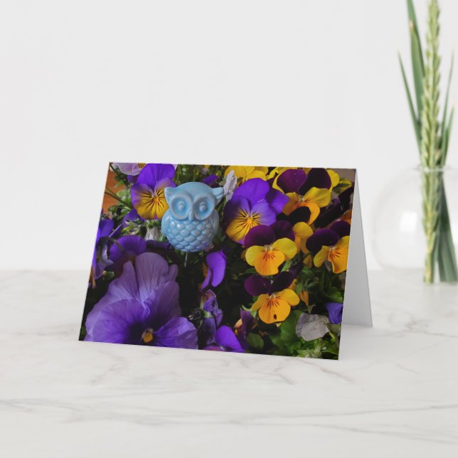 Pansier och uggla-kort kort (Framsida)