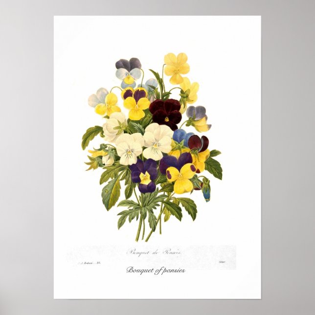 Pansiernas Bouquet Poster (Framsidan)