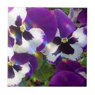 Pansies belägger med tegel eller Trivets Kakelplatta