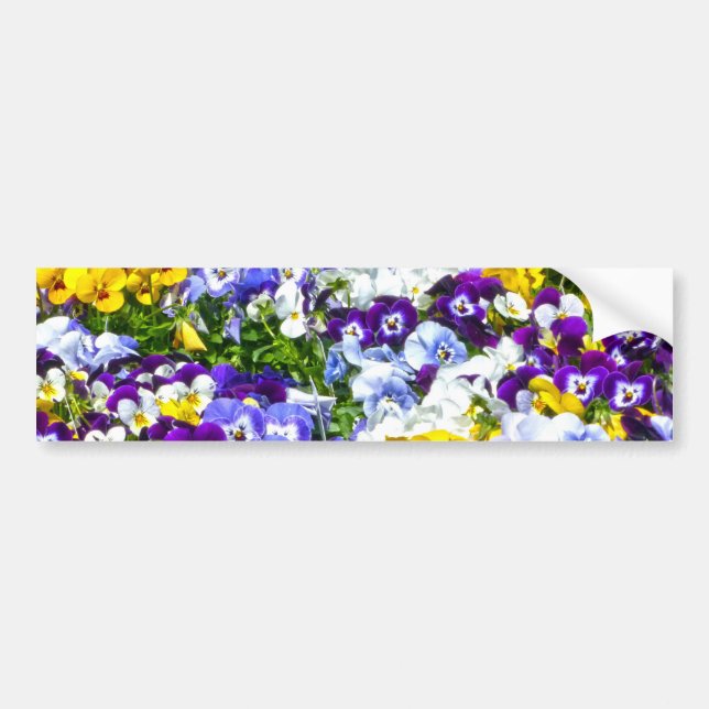 Pansies Bildekal (Framsidan)